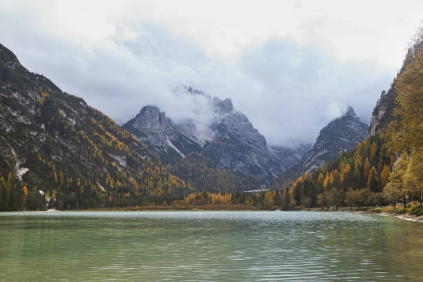 istock lake and forest with fog 1428701395