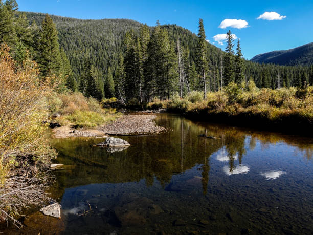 istock Forest and calm stream, Indian Peaks Wilderness, Colorado. 1428708108