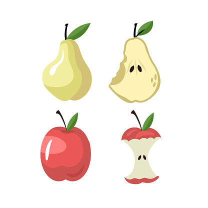 Apple core. Pear core. Flat vector illustration.