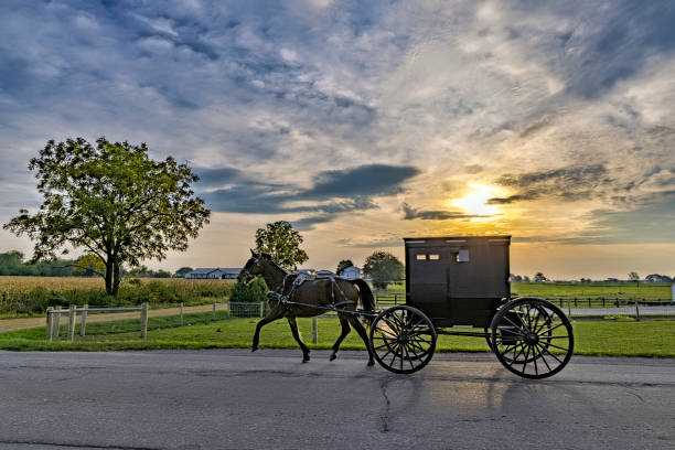 Amish Buggy at Sunrise Amish Buggy at Sunrise on rural Indiana road Amish stock pictures, royalty-free photos & images