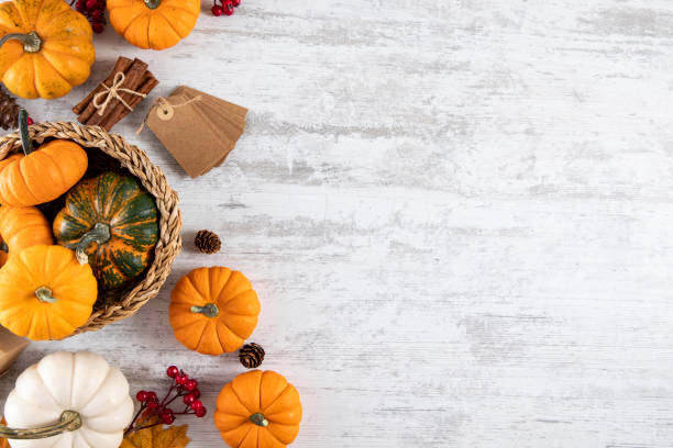 Thanksgiving Day or Autumn Gourds Holiday Background stock photo