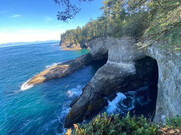 istock Cape Flattery sea caves 1428720915