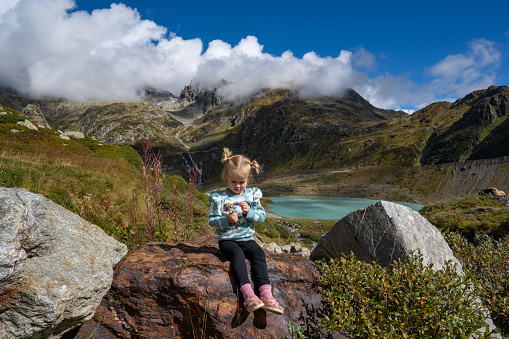 Toddler girl with a wildflower bouquet at Susten Pass in the beautiful Swiss Alps around the Stein Glacier and Steinsee Lake of Switzerland.