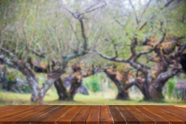 istock wooden table top on blurred park background 1428725280