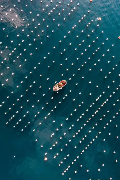 Photo of Drone View Mussel and Oyster Farm in the Sea