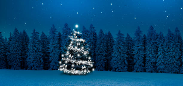 istock Illuminated Christmas tree in a winter forest at night 1428728523