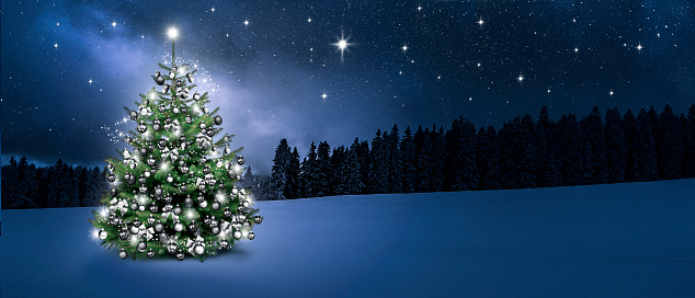 Winter forest with lighted Christmas tree