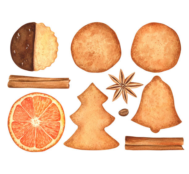 handgezeichnete kekse, gewürze und orangenscheibe, realistische aquarellillustration - shortbread stock-grafiken, -clipart, -cartoons und -symbole