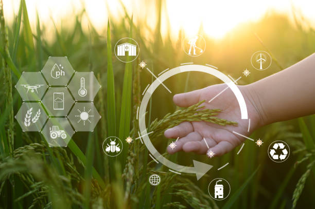istock Smart Farm, Agricultural Technology and Organic Agriculture 1428737914