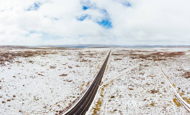 istock Liawenee in Central Highlands Tasmania Australia 1428745579