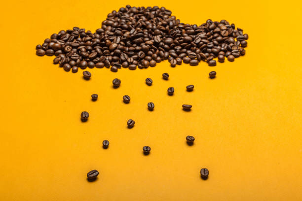 istock Spilled coffee beans on a bright yellow background 1428747449