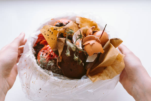 istock Bucket with biological garbage, food waste in biodegradable package 1428747762