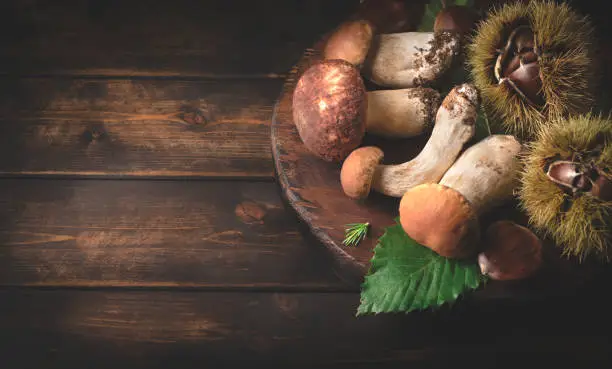 Photo of Autumn forest background or internet banner with wild  mushrooms porcini or Boletus Edulis and harvested chestnuts on dark wooden background, top view, copy space. Autumn harvest concept, organic forest food