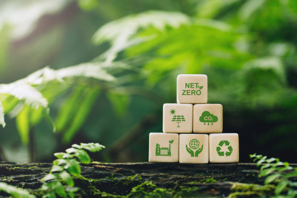 istock Net zero and carbon neutral concept.Net zero greenhouse gas emissions target. Climate-neutral long strategy. wooden cubes with NetZero icon in green background.Net zero 2050 Carbon neutral. 1428749732