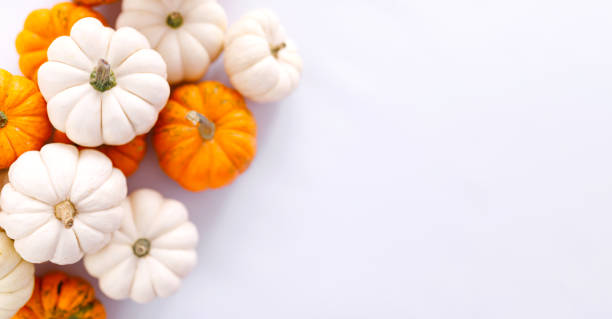 istock Autumn decoration on white with copy space. Fall, halloween, thanksgiving 1428756597