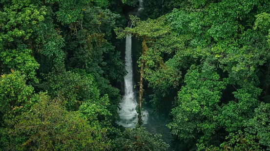Waterfall in Bellavista Cloud Forest Reserve