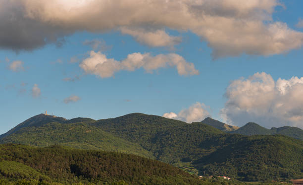 istock Molise, Italy. Glimpses of summer 1428763926