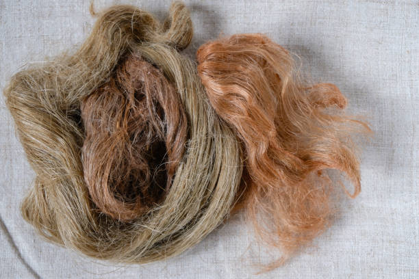istock Hemp or linen tow dyed with natural dyes on hemp fabric. 1428766310