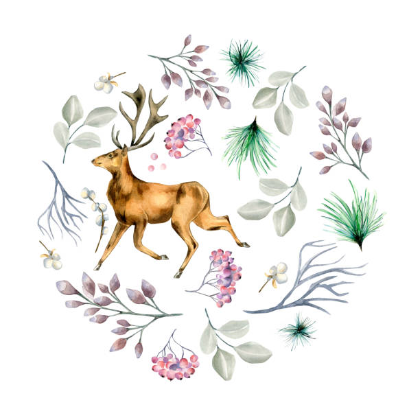 istock Circle frame of winter plants and deer watercolor illustration isolated on white. 1428770219