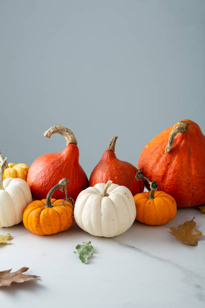 istock Autumn pumpkin set still life holiday concept 1428773418