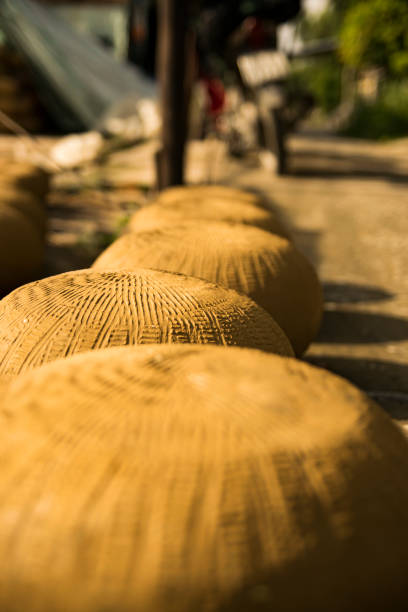 istock Vietnam countryside beautiful 1428773597