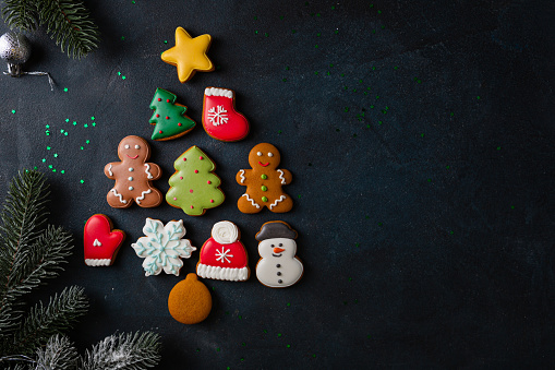 Overhead view of Christmas gingerbread cookies in eve shape on dark surface