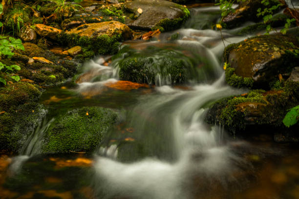 Svatopetrsky creek near Spindleruv Mlyn town in Krkonose mountains stock photo