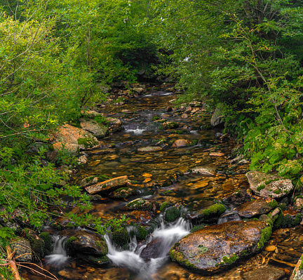 Svatopetrsky creek near Spindleruv Mlyn town in Krkonose mountains in summer
