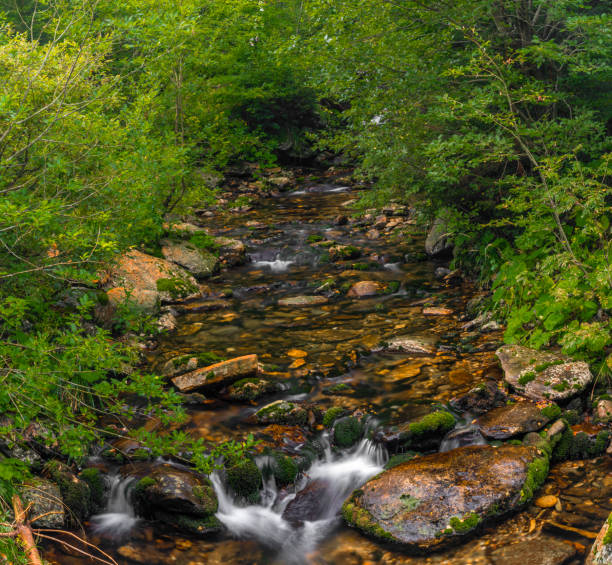 Svatopetrsky creek near Spindleruv Mlyn town in Krkonose mountains stock photo