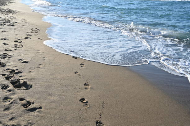 View of footprints on sandy beach of Atlantic ocean on island of Aruba.