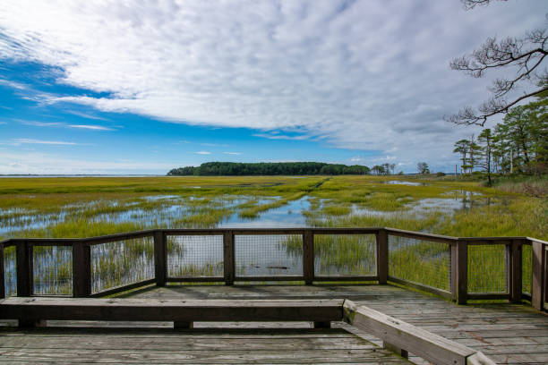 Thompson Island Lookout