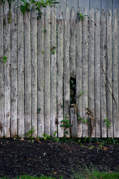 istock Old Wooden Fence with Broken Post 1428780084