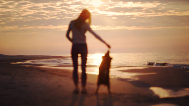 The girl and the dog are jumping