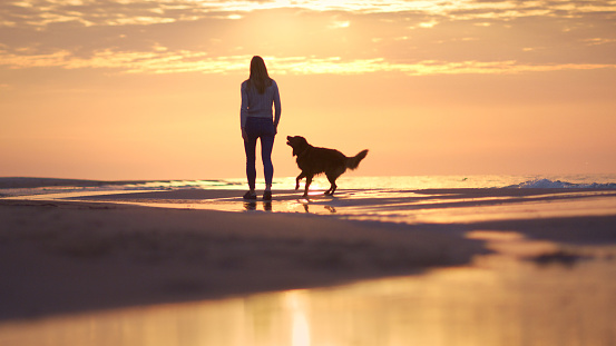 Walk with the dog at sunset