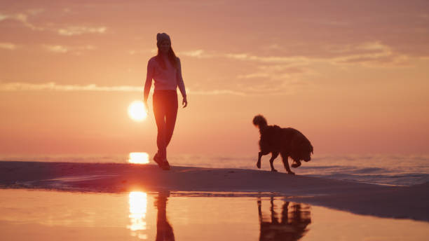 istock Walk with the dog at sunset 1428787064