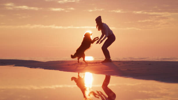 Playing with the dog on the beach at sunset.  Silhouettes