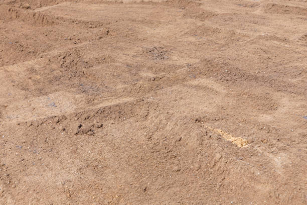 istock pattern of fresh potting soil for laying a new lawn 1428791546