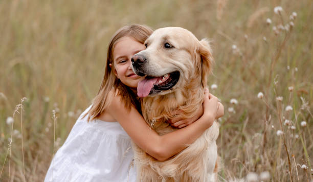 istock Girl with golden retriever dog 1428808380
