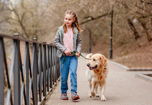Little beautiful girl with cute hairstyle walking along the bridge with golden retriever dog