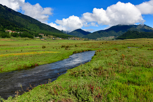 Phobjikha Valley, Wangdue Phodrang District, Bhutan:  winding stream, the valley's central wetland has been designated as a Ramsar site - Formed by Pleistocene glaciers , the valley has a swampy valley floor due to the impermeable stratum. The local geology is dominated by Precambrian (Chekha Formation) crystalline sediments - Gangtey nature trail, leading to Gangtey Monastery