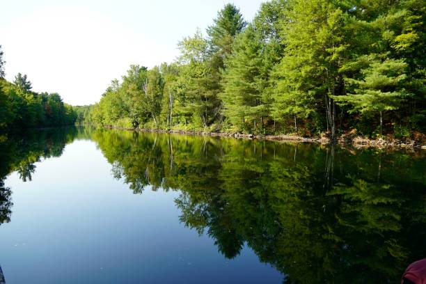istock Forest Reflection,Muskoka Ontario 1428815455
