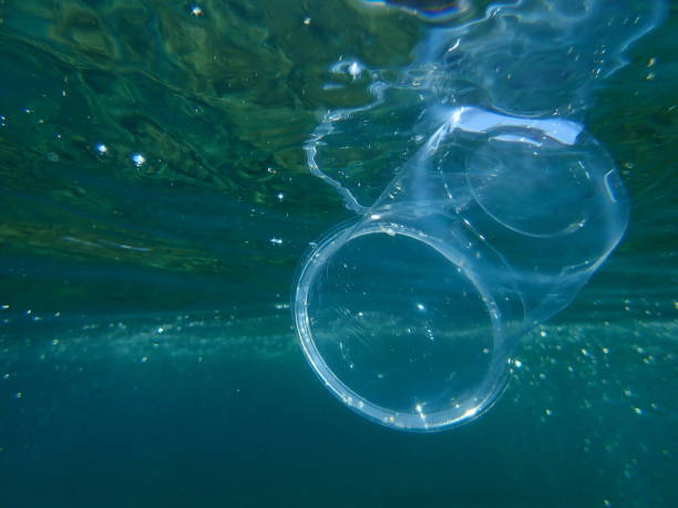 istock Plastic garbage underwater, Aegean Sea, Greece, Halkidiki. Sea pollution. 1428815615