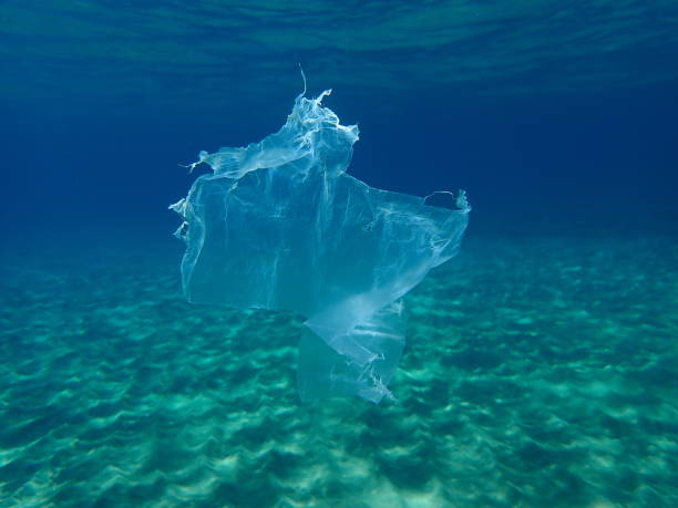 istock Plastic garbage underwater, Aegean Sea, Greece, Halkidiki. Sea pollution. 1428815928