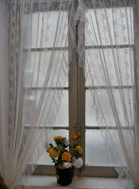 istock Windows in the old building with artificial flower 1428819985