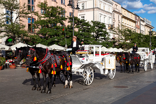 Cracow, Poland - September 1, 2022:  Carriage waiting for tourists at Market Square in Cracow, Poland.