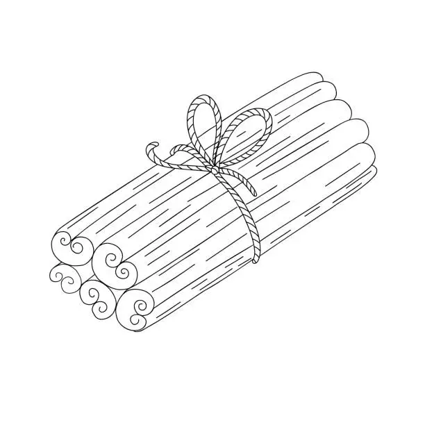 Vector illustration of Cinnamon sticks spice bound with ribbon and bow simple outline doodle vector illustration, Christmas, New Year festive holiday home decor, seasonal greeting card, invitation, banner