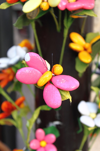 Butterfly shaped sweetmeats