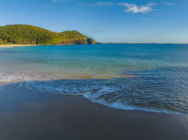 istock Elizabeth Beach at Pacific Palms on a beautiful Spring morning 1428846623
