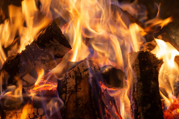 istock Hot fireplace full of wood and fire burning 1428847551