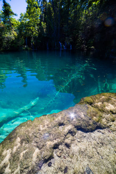 istock Plitvice Lakes National Park, Croatia. 1428848356